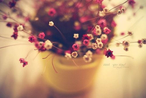 2021最潮最火的个性网名