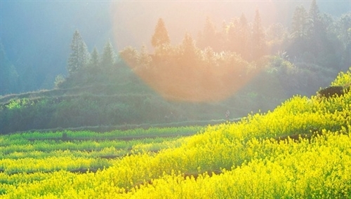 用尤其写句子一年级