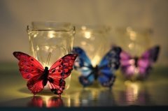 描写关于一种植物的形态的句子