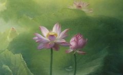 最经典的芒种节气祝福语大全