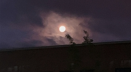 描写月亮的词语