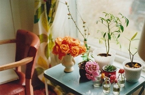 结婚男方上头十梳顺口溜