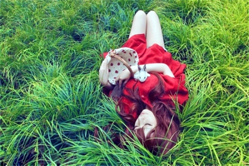 写给正在追求的女孩子的句子