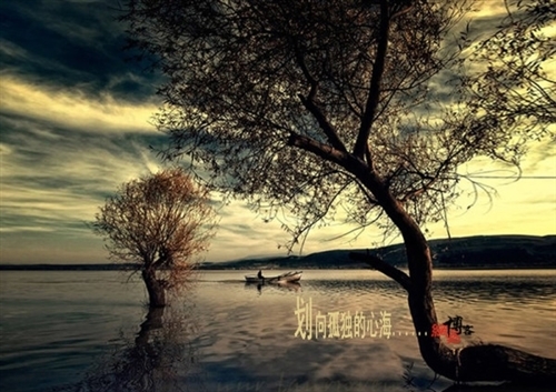 半夜失眠发朋友圈的短句子