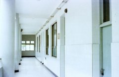 巴金的家精彩句子摘抄