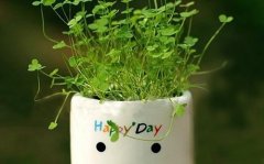 抖音自拍搞笑文案吸引人的句子