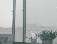 下雨没有伞文案吸引人的句子