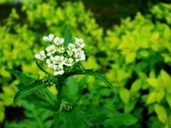 一个人旅行文案句子