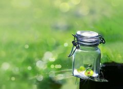 描写心情好的句子文案爱情