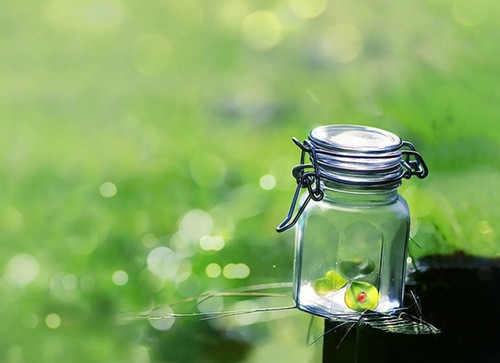 描写心情好的句子文案爱情