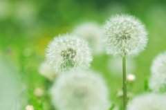 适合鼓励女孩子的励志的句子