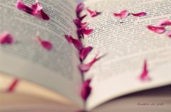 党史学习文案发圈的句子