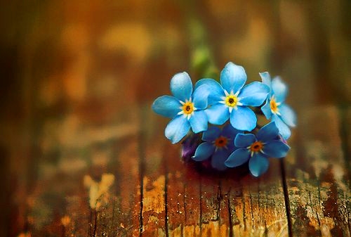 抗击疫情的振奋人心的励志标语