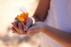 高质量温柔惊艳文案短句