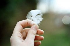 一眼被惊艳的高级文案句子