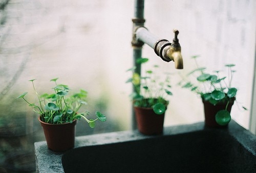 关于避风港的唯美句子