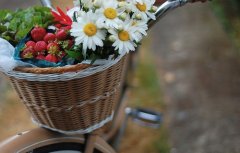 疫情期间送给大家的话
