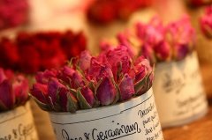 对即将进入小学的孩子的祝福语