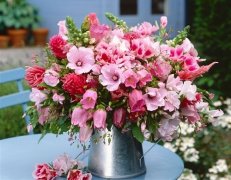 想对儿子说的话心情短语