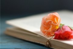 彼此照顾的句子