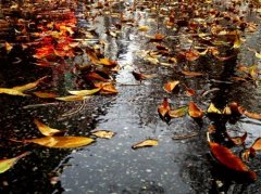 每天一场秋雨的心情说说