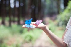 适合活泼开朗乐观的人的网名