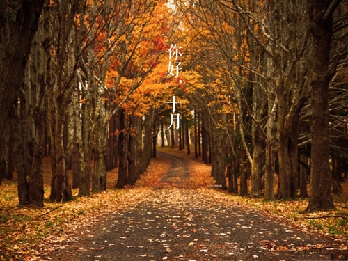 秋天说说朋友圈心情唯美句子