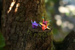 心寒想哭的短句子八个字