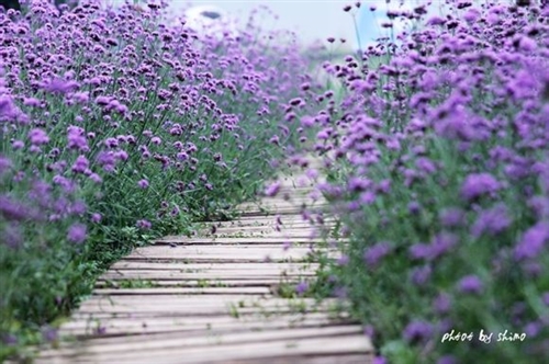 国庆第二天发给客户的祝福语