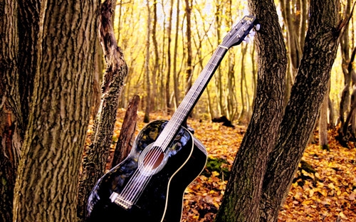 秋天来了写一句话简短的美文 秋天来了写一句话简短的美文