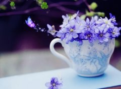 尽孝要趁早的名言警句