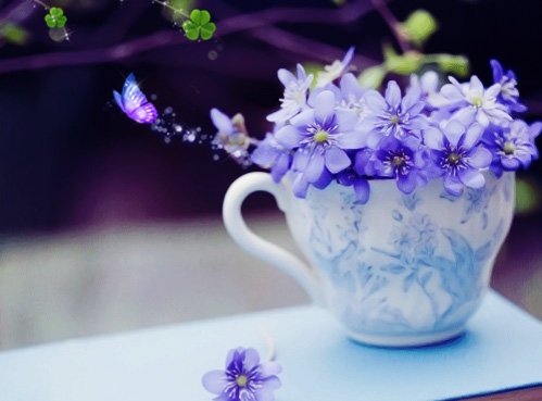 尽孝要趁早的名言警句