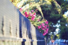 国庆节祝福语一句话有内涵