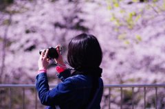 用心做事用心生活的句子