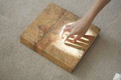 共同进步的句子激励