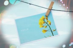 倒霉的事情接二连三的句子