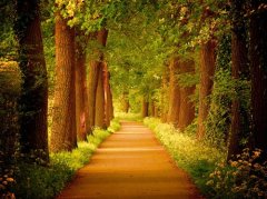 女人只能靠自己的说说