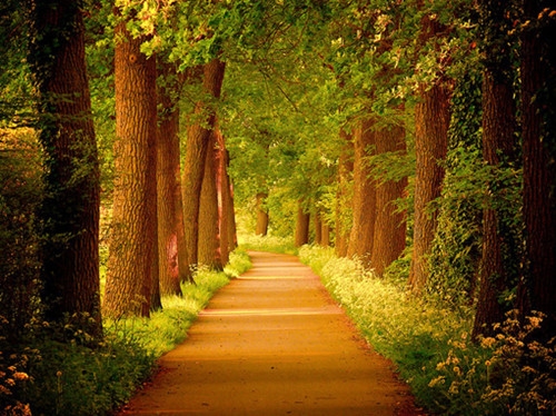 女人只能靠自己的说说