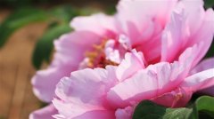 2022疫情关心朋友注意安全的话