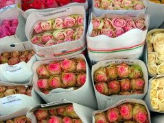 愿我身边的人平安健康的句子