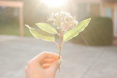 努力从来都不晚的句子