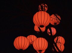 老师给家长发元宵节的祝福语