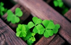 承诺兑现不了让人失望的句子