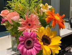 送医生锦旗用语大全 赞美医生的锦旗标语