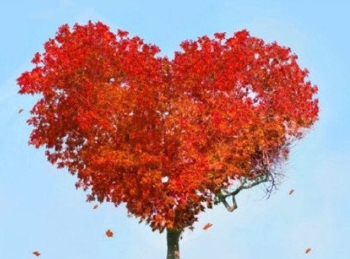 晒一家人朋友圈说说祝福句子 晒一家人朋友圈说说祝福句子