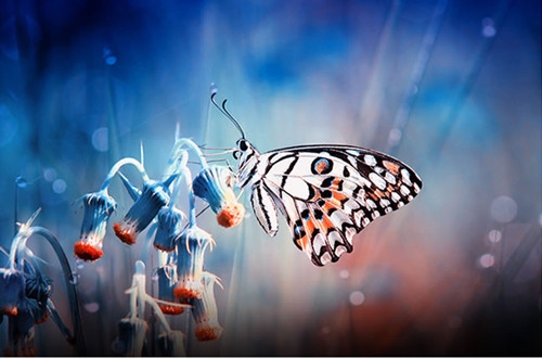 让人笑喷的网名四个字