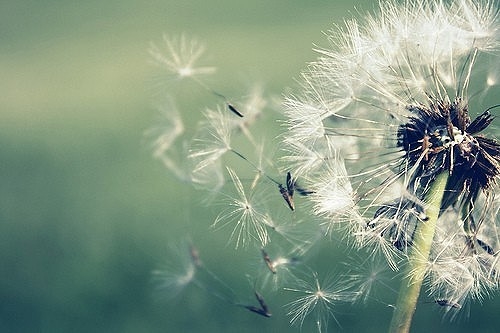 特别特别丧的微信昵称