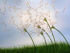 抗击疫情的感人话语