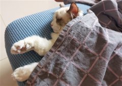 鼻炎难受发朋友圈的句子