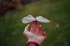 女人活出自己的精彩的句子